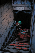 Cover: Hyde Street - Treppe Cover - Skinless Crow