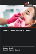 Cover: Evoluzione Delle Staffe - Edizioni Sapienza