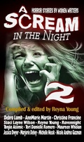 Cover: A Scream in the Night 2 - Black Bed Sheet Books