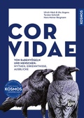 Cover: Corvidae - Kosmos