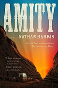 Cover: Amity - Little Brown and Company