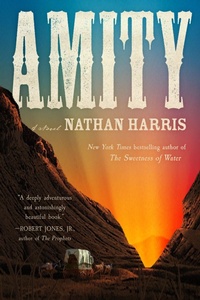 Enlarge image Cover: Amity - Little, Brown Paperbacks