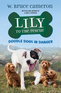 Enlarge image Cover: Lily to the Rescue: Doodle Dogs in Danger - Odd Dot