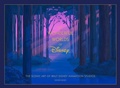 Cover: Disney The Wonderful Worlds of Disney - DISNEY