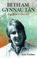 Cover: Beth am gynnau tan - Gwasg Carreg Gwalch