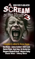 Cover: A Scream in the Night 3 - Black Bed Sheet Classics