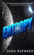 Cover: Entropy - Widow