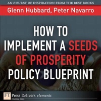 Enlarge image Cover: How to Implement a Seeds of Prosperity Policy Blueprint - Addison Wesley