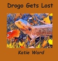 Cover: Drogo Gets Lost - Forever Fighters Running Club