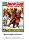 Cover: Pallenberg Wonder Bears - From the Beginning - Tiggy Winkle Press