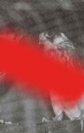 Cover: Modern Animal - ISOLARII