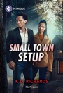 Cover: Small Town Setup - Harlequin
