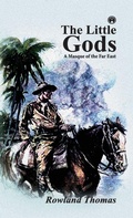 Cover: The Little Gods - Insight Publica