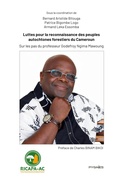 Cover: Luttes pour la reconnaissance des peuples autochtones forestiers du Cameroun - Pygmies