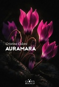 Cover: Auramara - Clown Bianco Edizioni