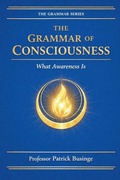 Cover: The Grammar of Consciousness - The Grammar of Human Development Series