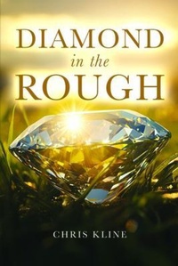 Enlarge image Cover: Diamond in the Rough - Books to Life Marketing