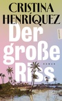 Cover: Der große Riss - Hanser