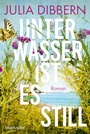 Cover: Unter Wasser ist es still - Blanvalet