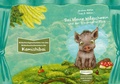 Cover: Das kleine Wildschwein und der traumhafte Flug - B&ouml;hm & B&ouml;hm