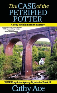 Enlarge image Cover: The Case of the Petrified Potter - Four Tails Publishing Ltd.