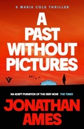 Cover: A Past Without Pictures - Pushkin Vertigo