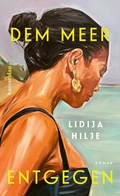Cover: Dem Meer entgegen - hanserblau