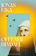 Cover: Offener Himmel - Hanser
