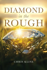 Enlarge image Cover: Diamond in the Rough - Books to Life Marketing