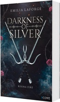 Cover: Darkness of Silver 2: Rising Fire - Cove Story