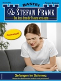 Cover: Dr. Stefan Frank 2862 - Bastei L&uuml;bbe