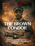 Cover: THE BROWN CONDOR - Panda Publishing Agency