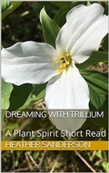 Cover: Dreaming with Trillium - MAJESTIC WISDOM PUBLISHING