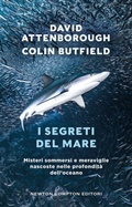 Cover: I segreti del mare. Misteri sommersi e meraviglie nascoste nelle profondit&agrave; dell'oceano - Grandi manuali Newton;Newton Compton Editori