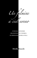 Cover: Un fulmine a ciel sereno. Un secolo di vicende Millenovecento/duemila nel brioso Borgo della Villa - Extempora