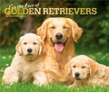 Cover: For the Love of Golden Retrievers 2027 14 X 24 Inch (Hanging) Monthly Deluxe Wall Calendar Foil Stamped Cover Plastic-Free - Browntrout Publishers