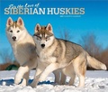 Cover: For the Love of Siberian Huskies 2027 14 X 24 Inch (Hanging) Monthly Deluxe Wall Calendar Foil Stamped Cover Plastic-Free - Browntrout Publishers