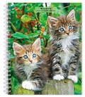 Cover: Kittens 2027 6 X 7.75 Inch Spiral-Bound Wire-O Weekly Engagement Planner Calendar New Full-Color Image Every Week - Browntrout Publishers