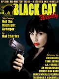 Cover: Black Cat Weekly #238 - Wildside Press LLC