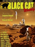 Cover: Black Cat Weekly #237 - Wildside Press LLC