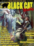Cover: Black Cat Weekly #236 - Wildside Press LLC
