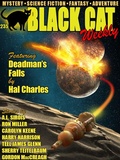 Cover: Black Cat Weekly #235 - Wildside Press LLC