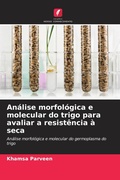 Cover: An&aacute;lise morfol&oacute;gica e molecular do trigo para avaliar a resist&ecirc;ncia &agrave; seca - Edi&ccedil;&otilde;es Nosso Conhecimento