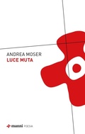 Cover: Luce muta - Manni