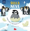 Cover: Sulla neve. Figure magiche - Artedicarte;Gallucci