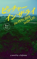 Cover: The Pitcher in the Lie - c. fujiwara