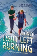 Cover: The Only Light Left Burning - Collins