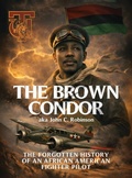 Cover: THE BROWN CONDOR - Panda Publishing Agency