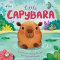 Cover: Nature Stories: Little Capybara - Igloo Books