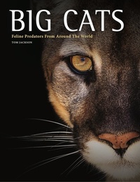 Enlarge image Cover: Big Cats - Amber Books